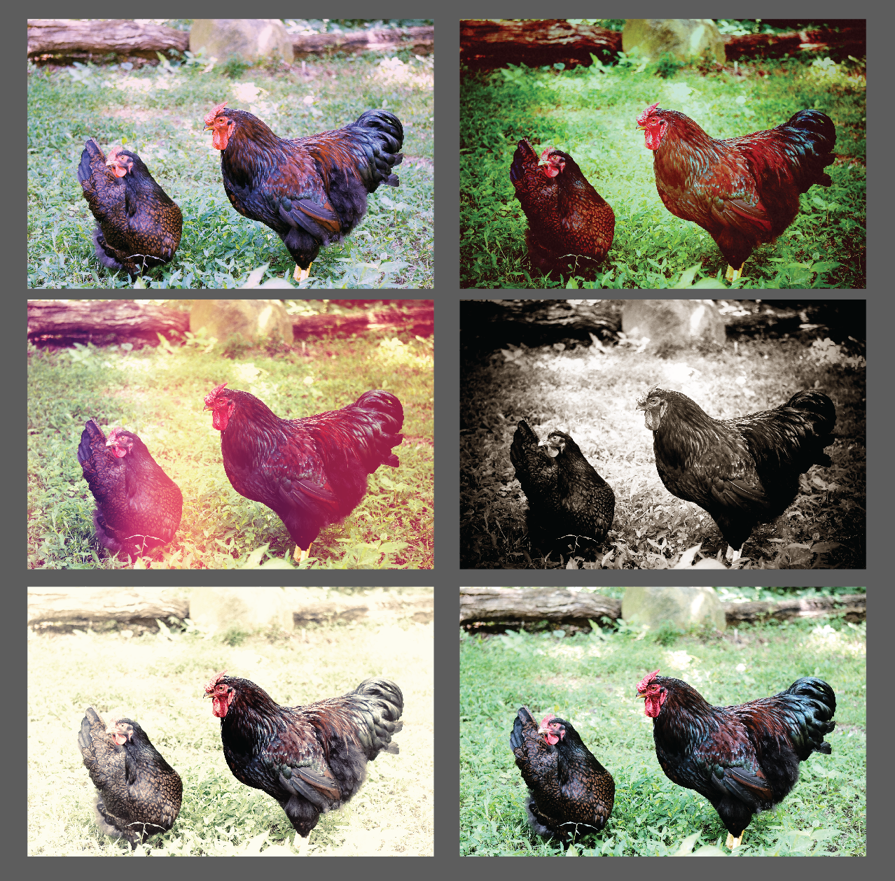 Working with Color Variations for the Brochure
